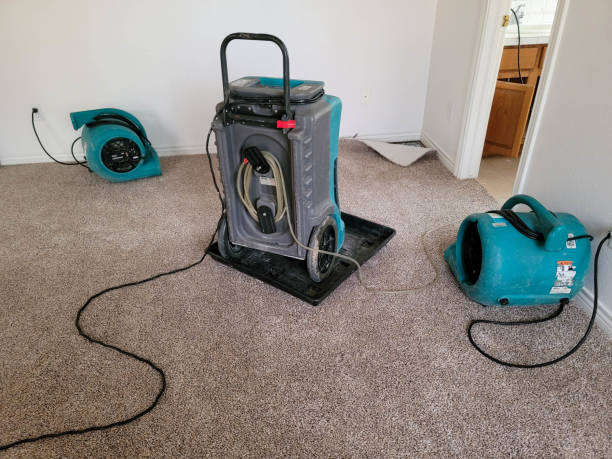 Best Water damage contractors near me  in Weston, WI