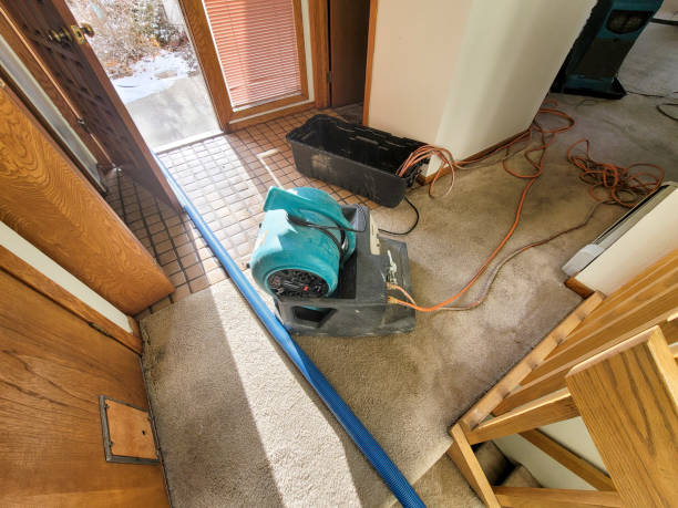 Best Water damage cleanup near me  in Weston, WI