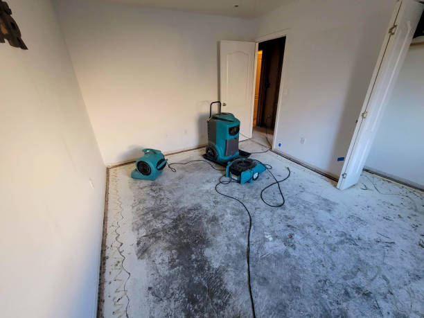 Best Ceiling water damage repair  in Weston, WI