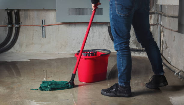 Best Professional water damage repair  in Weston, WI