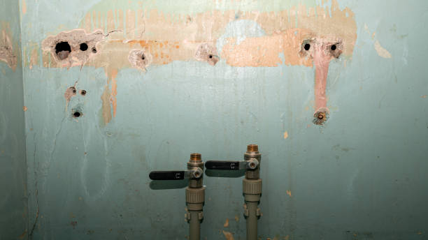 Best Basement water damage restoration  in Weston, WI