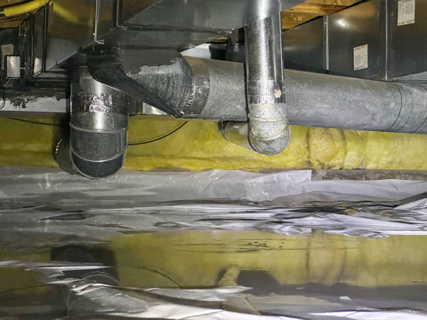 Best Water damage repair service  in Weston, WI