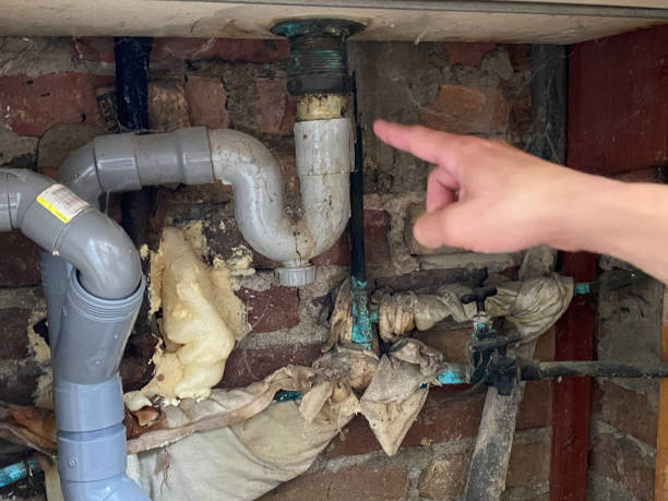 Best Mold removal after water damage  in Weston, WI