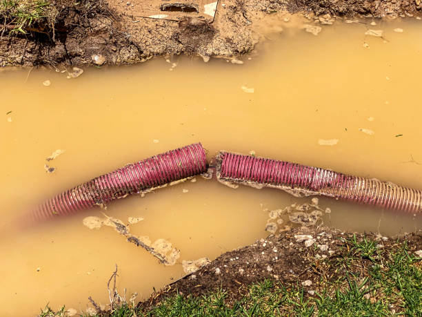 Best Flood damage cleanup  in Weston, WI